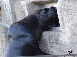 Tiergarten Schönbrunn am 27.01.2026